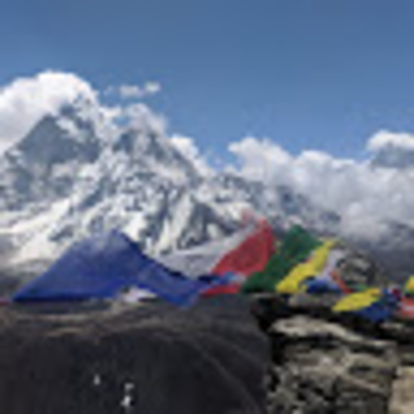 Quality vegan wear! - Picture 1 of 1